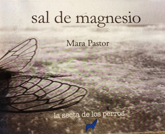 Sal de Magnesio